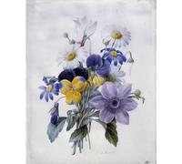 POSTERIIk Dipinti Famosi Pittura Immagine Tela Dipinti d'arte graffiti un ramo de flores: margarita de pensamiento de clematita y ciclamen de Pierre Redouté per la Decorazione Della Parete 60x90cm