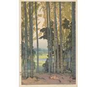 POSTERIIk Dipinti Famosi stampa tela poster Ritratto Dipinti d'arte Madera de bambú de Hiroshi Yoshida per la Decorazione Della Parete 60x90cm