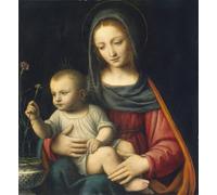 POSTERIIk Famoso Arte Dipinto Pittura Astratta la Dama del Clavel de Bernardino Luini per la Decorazione Della Parete 60x90cm