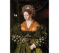 POSTERIIk Famoso Arte Dipinto Pittura Astratta Retrato de una dama de Bartolomeo Veneto per Decorazioni per la Casa 60x90cm