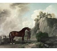 POSTERIIk Famoso stampa tela poster Ritratto Dipinti d'arte Cato y el novio de George Stubbs per la Decorazione Della Parete 60x90cm