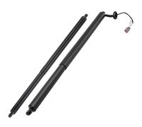 Posteriore 600661000B 600661100B Molla A Gas Per Portellone Posteriore Elettrico Per Tesla Per Model S 2014-2020 Cofano(PAIR)