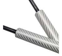 Posteriore Pistoni per Portellone Per Ford Puma II Crossover 2019-2025 Ammortizzatori Automatici Con Molle Per Portellone Posteriore Bagagliaio E(Silver Carbon Fiber)