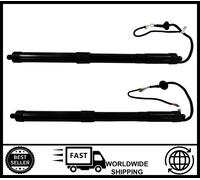 Posteriore SX E Dx Mandrino Drive Molle a Gas per Toyota RAV4 A4 6891009010