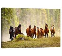 Posterlounge Cavalli in una radura nella foresta Stampa su tela di Adam Jones 60 x 40 cm Quadri Decorazione per pareti