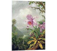 Posterlounge Colibrì appollaiato su una pianta d'orchidea Stampa su vetro acrilico di Martin Johnson Heade 30 x 40 cm Verde Quadri Decorazione per pareti