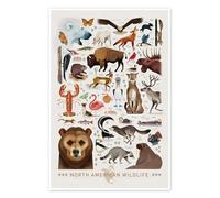Posterlounge North American Wildlife Poster
