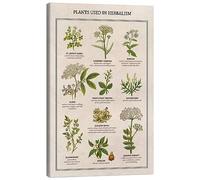 Posterlounge Piante medicinali (inglese) Stampa su tela di Vintage Educational Collection 40 x 60 cm Quadri Decorazione per pareti
