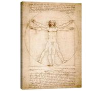 Posterlounge Uomo vitruviano Stampa su tela di Leonardo da Vinci 30 x 40 cm Beige Quadri Decorazione per pareti