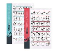 PosterMate Poster Palestra per Esercizi con Manubri e Bilanceri, Include 2 Workout Poster, Esercizi per Circuito di Allenamento a Casa e Palestra, Poster Fitness da Palestra in Casa (51 x 76 cm)