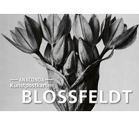 Postkarten-Set Blossfeldt: 18 Kunstpostkarten aus hochwertigem Karton: 89