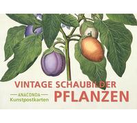 Postkarten-Set Vintage-Schaubilder Pflanzen: 18 Kunstpostkarten aus hochwertigem Karton: 88