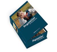 Postkartenbox Giovanni Segantini: 50 Postkarten