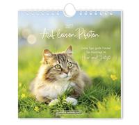 Postkartenkalender 2027 Auf leisen Pfoten: Postkartenkalender