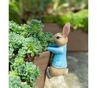 Pot Buddies Beatrix Potter Peter Coniglio da appendere a forma di vaso - ornamento da giardino - Figura decorativa per fioriera