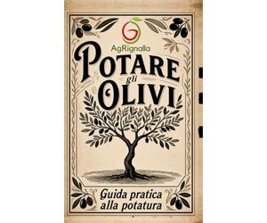 Potare gli olivi: Guida pratica alla potatura