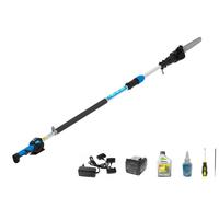 POTATORE A BATTERIA CAMPAGNOLA T REX 250-300 CM SU ASTA TELESCOPICA 21,6 V 5 AH