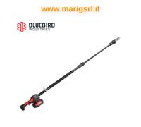 Potatore Blue bird 22 10 Telescopico 2 batterie 18V pompa olio automatica