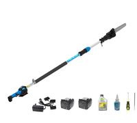 POTATORE CAMPAGNOLA T REX SU ASTA TELESCOPICA 160-240 CM 2 BATTERIE