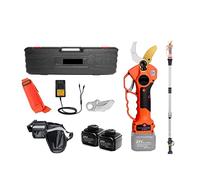 Potatore elettrico senza fili, potenza 25 V, 12 ore di lavoro per potatura efficiente di alberi da frutto e bonsai, include asta e custodia