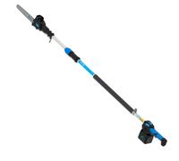 POTATORE ELETTRICO T-REX SU ASTA 250-300 CAMPAGNOLA