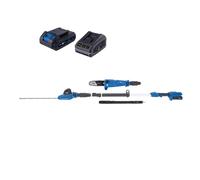 Potatore Tagliasiepi Telescopico Batteria 20V Scheppach set s c-phts410-x