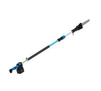 Potatore telescopico a catena T REX Campagnola asta estensibile 160-240 con b...