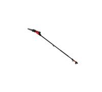 Potatore telescopico BLUE BIRD PCS 22-06 con 2 batterie 2.5Ah barra 15 cm