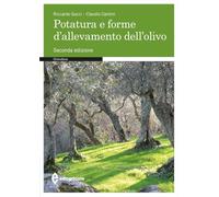 Potatura e forme di allevamento dell'olivo