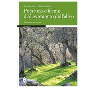 Potatura e forme di allevamento dell'olivo