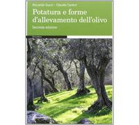POTATURA OLIVO FORME ALLEVAMENTO TECNICHE CURA PIANTA FRUTTETO GIARDINAGGIO MANU