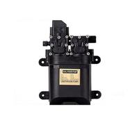 Potente pompa dell'acqua doppia 12 V 120 W ad alta pressione autoadescante a membrana pompa dell'acqua con pressostato automatico per prato per uso fai da te