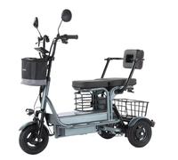 Potente triciclo elettrico per genitori, bambini e adulti, a 3 ruote per anziani, 2 posti, batteria da 800W rimovibile, scooter elettrico a lunga autonomia 60KM