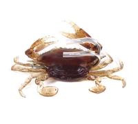 Potenzia il for tuo di pesca con esca da pesca di qualità 810 cm doppi g