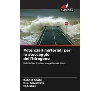 Potenziali materiali per lo stoccaggio dell'idrogeno: Materiali per il vettore energetico del futuro