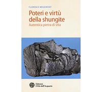 Poteri e virtù della shungite. Autentica pietra di vita