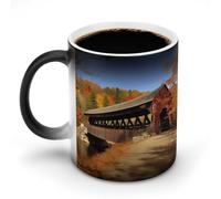 POTSCBVW Albany - Tazza in ceramica con ponte coperto che cambia colore, rivela il design nascosto quando è calda, tazza da caffè sensibile al calore, regalo divertente per compleanno, Natale