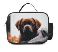 POTSCBVW Borsa termica per il pranzo a forma di cane, grande capacità, con fibbia di sicurezza, a prova di perdite, per lavoro, palestra, picnic, viaggi e attività all'aperto