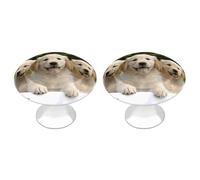 POTSCBVW Confezione da 2 maniglie per cassetti con cuccioli di Golden Retriever, in acciaio inox, per cucina, bagno, comò, cassettiera, stile minimalista, rotonda, facile installazione, hardware