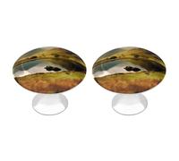 POTSCBVW Confezione da 2 maniglie per cassetti del Lake District National Park, in acciaio inox, per cucina, bagno, cassettiera, minimalista, rotonda, facile installazione, hardware incluso