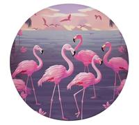 POTSCBVW Flock of Tropical Flamingos - Cuscino rotondo morbido per sedia, con memory foam, rimovibile, traspirante, per casa, auto, meditazione, 38,1 x 38,1 cm