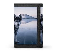 POTSCBVW Husky Dog on a Frozen Lake Portafoglio compatto a tre ante con portachiavi, leggero e resistente, per esterni, stile, taglia unica, classico