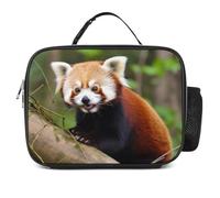 POTSCBVW Little Red Panda - Borsa termica per il pranzo, grande capacità, con fibbia di sicurezza, a tenuta stagna, per lavoro, palestra, picnic, viaggi e attività all'aperto
