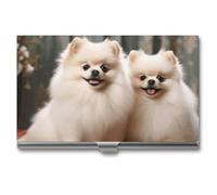 POTSCBVW Porta biglietti da visita a pelo corto con cane della Pomerania, super leggero, portatile, in lega di alluminio, organizer per carte di credito, sottile, professionale, per impiegati, uomini
