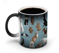 POTSCBVW Tazza magica che cambia colore con gatti e cani che piovono, tazza in ceramica rivela il design nascosto quando è calda, tazza da caffè sensibile al calore, divertente regalo per compleanno e