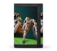 POTSCBVW Wildlife Spider Portafoglio compatto a tre ante con portachiavi, leggero e resistente, per esterni, stile, taglia unica, classico