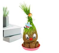 Potted Head Grass Dollb - Pianta Verde In Crescita Con Testa D', Testa D' In Crescita | Kit Da Giardinaggio Per Bambini E Bambine, Piante Verdi In Vaso Dal Bell'aspetto Per Il Soggiorno