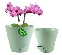 Pottiffe Vasi autoirriganti per piante da interno, vasi da fiori da 20,3 cm per piante da interno, 3 confezioni di fioriere in plastica con fori di drenaggio e piattini