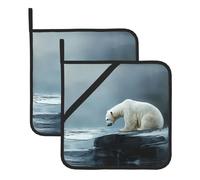Povero orso polare guardando il ghiaccio immagine quadrata resistente al calore (set di due) 20,3 x 20,3 cm : tessuti di qualità, anti-scottatura e facile da pulire