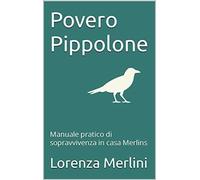 Povero Pippolone: Manuale pratico di sopravvivenza in casa Merlins di Lorenza Me